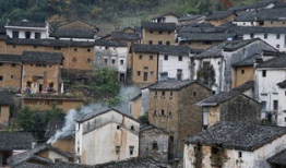 麻豆村,探寻台湾乡村的美丽与魅力