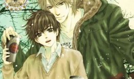 superlovers漫画,一场跨越次元的浪漫冒险