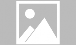 处女座漫画,星座性格的细腻描绘与趣味漫画